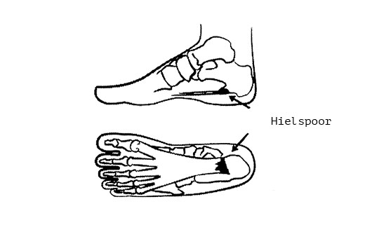 hielspoor