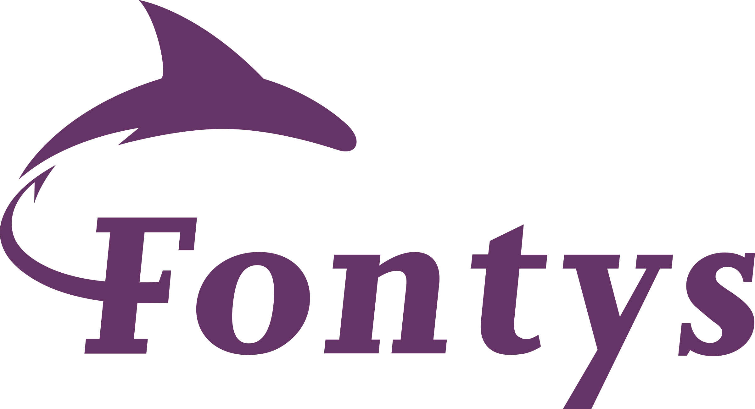 fontys