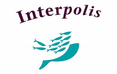 Interpolis Zorgactief